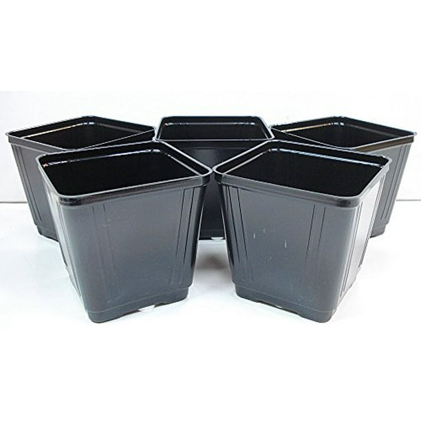 Black Plastic Starter Pot for Plants 4 inch Diameter Quantity 5 Black Plastic Starter Pot for Plants 4 inch Diameter Quantity 5